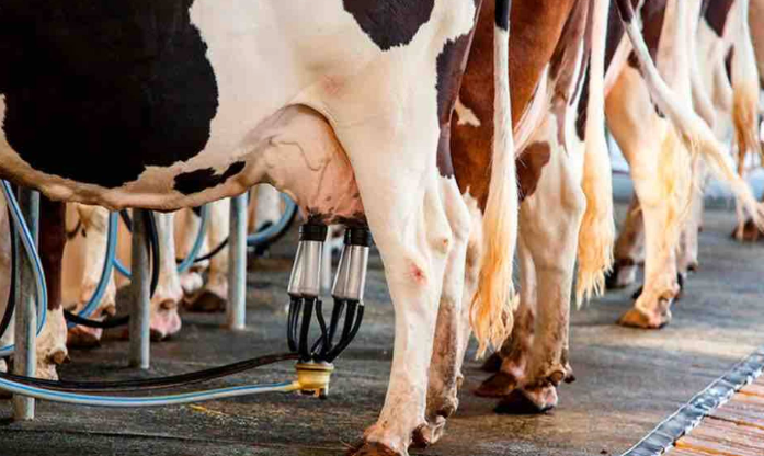 El gobierno apura medidas a favor del campo