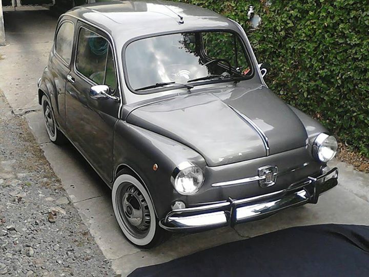 Documento Nacional del Fitito: para todos los que tengan un Fiat 600 en cualquier parte del país