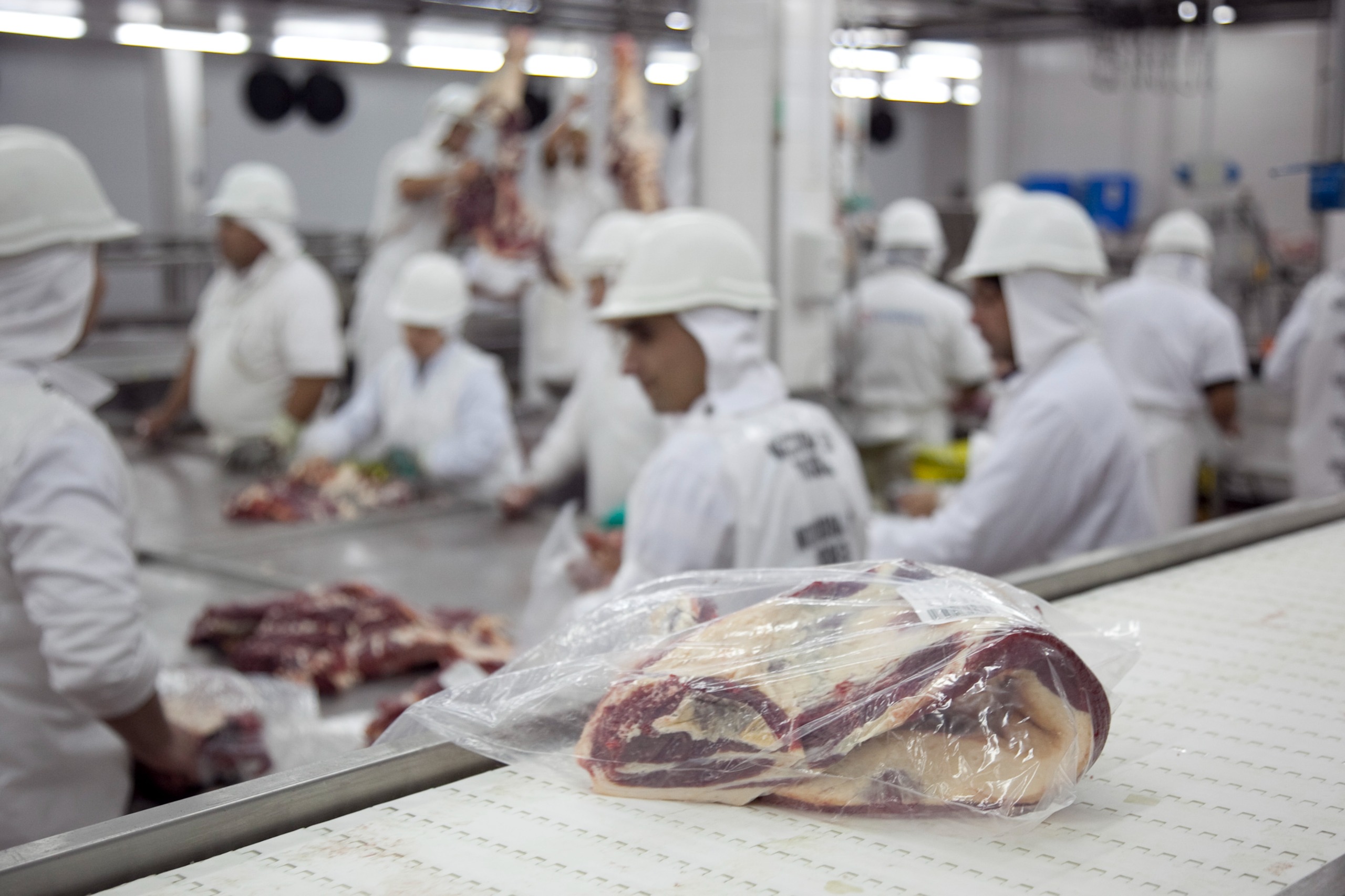 Récord histórico en exportaciones de carne vacuna argentina