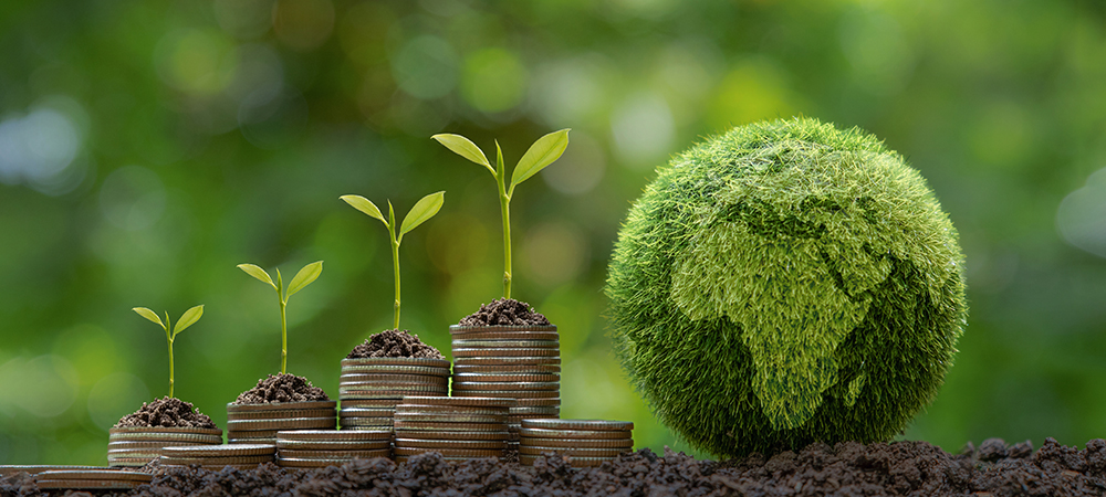 Banco Santander alcanzó el 100% de su consumo eléctrico con fuentes renovables