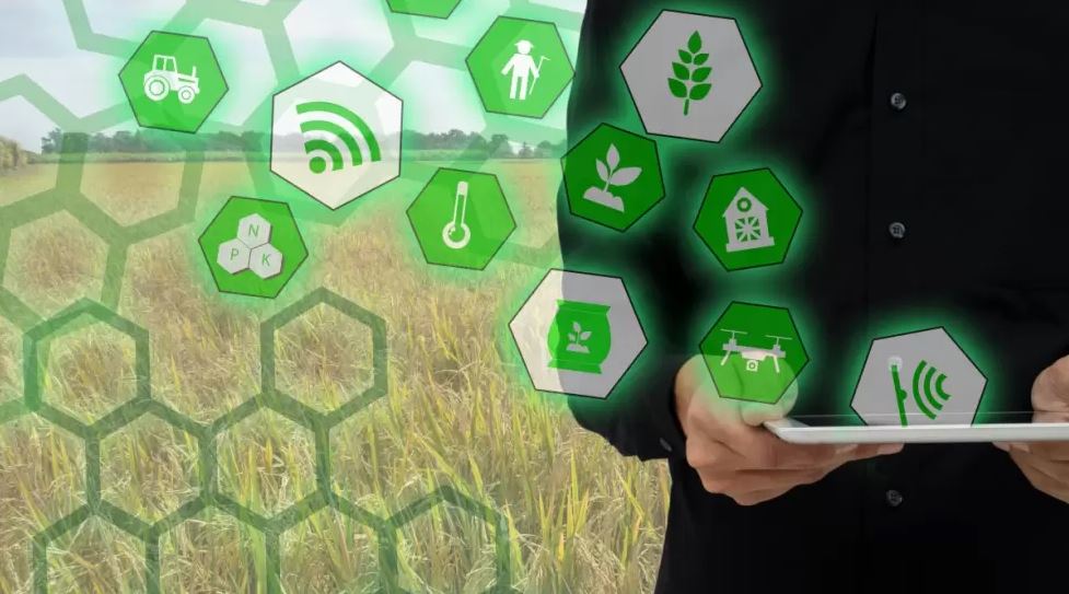 Cobertura de precios en el agro