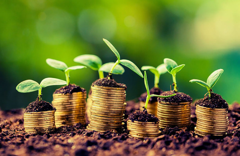 La Bolsa de Cereales