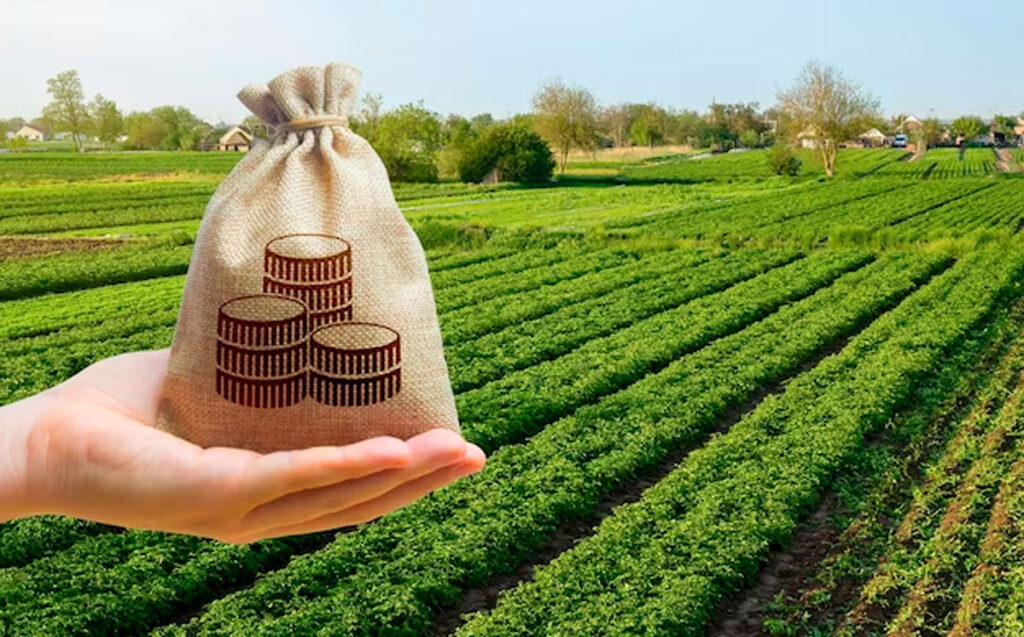 La Bolsa de Cereales lanza un curso de actualización legislativa