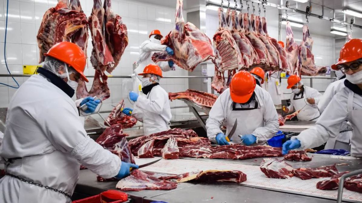 La inserción mundial de la carne debe acompañarse con mayor ordenamiento interno