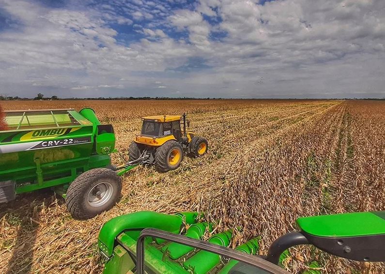 Precios bajo presión: buena siembra en EEUU y más grano desde Brasi