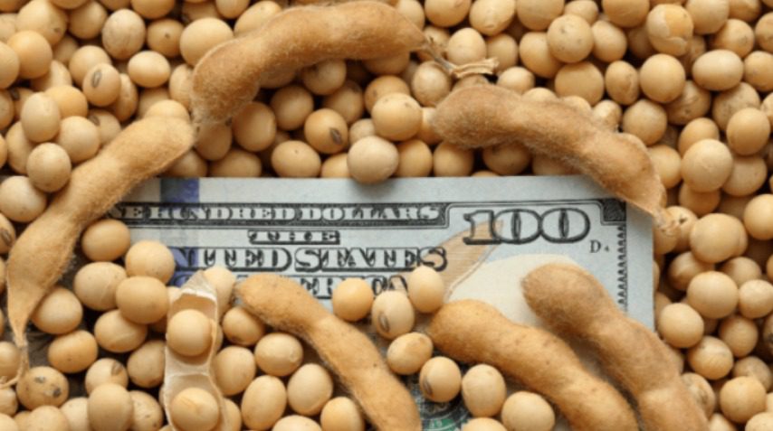 Agroexportadores liquidaron en junio U$S 3.706  millones