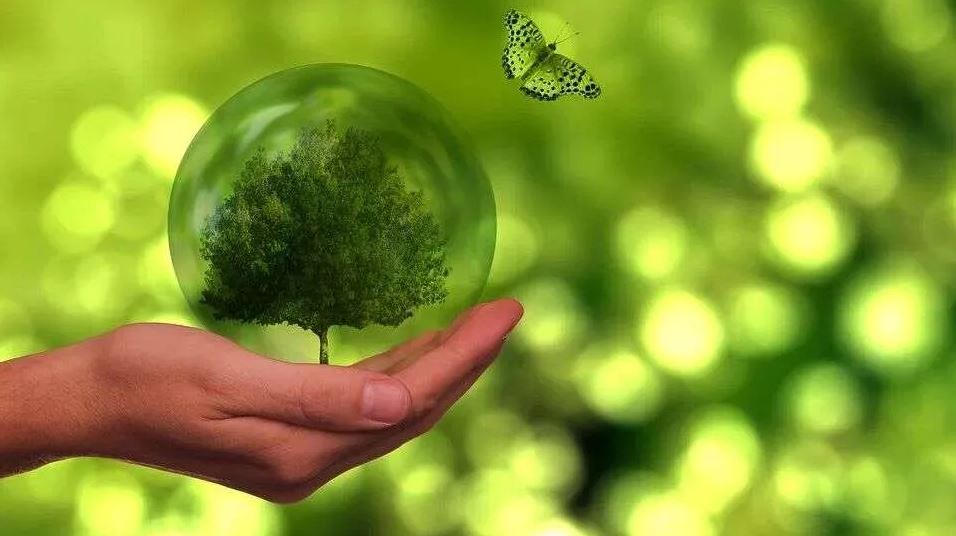 Brenntag, Sinteplast y Resinas Concordia certificaron sus plantas