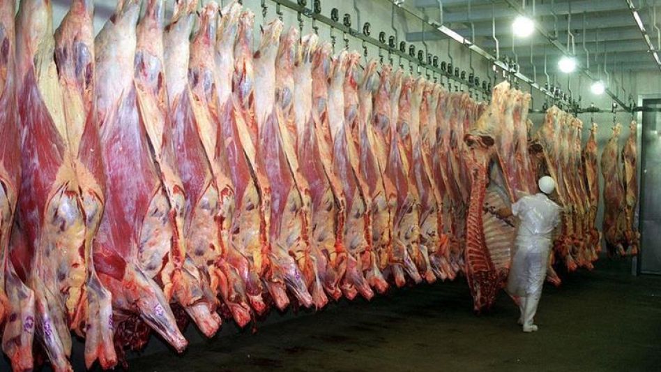 Faena y reposición: ¿Qué lejos nos encontramos de una fase de retención?