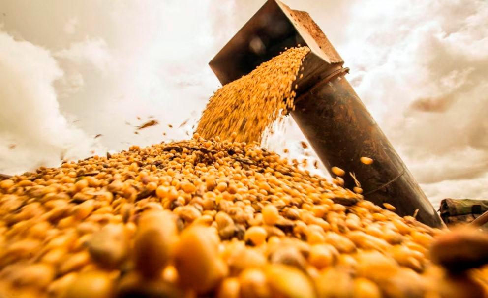 Freno en el mercado de soja tras el regreso de las retenciones