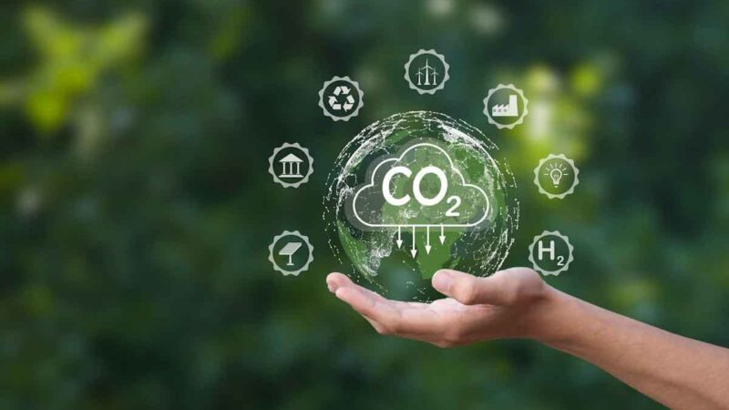 La Mesa Argentina de Carbono presentó su plan de desarrollo