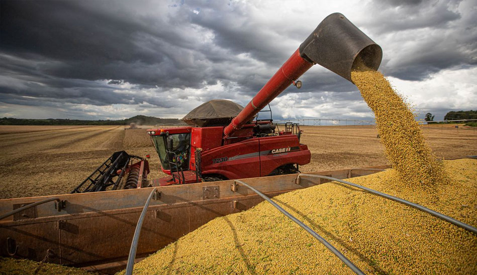 La baja permanente de retenciones aumentará la producción