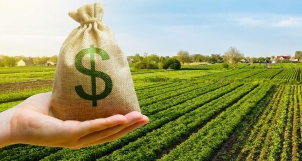 Las reducciones en las retenciones se celebraron en el agro