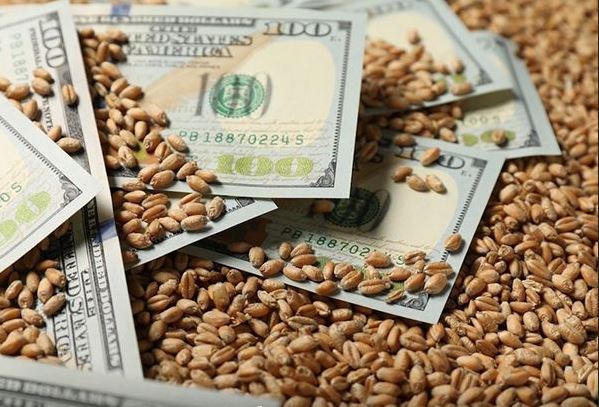 Agroexportadores liquidaron en julio U$S 4.102  millones