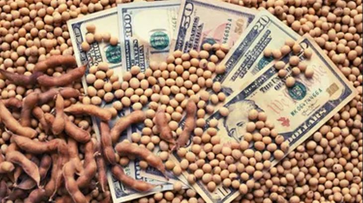 La baja de retenciones reactivó el mercado