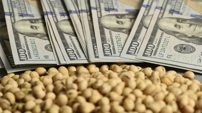 Incertidumbre en los precios internacionales del maíz y la soja