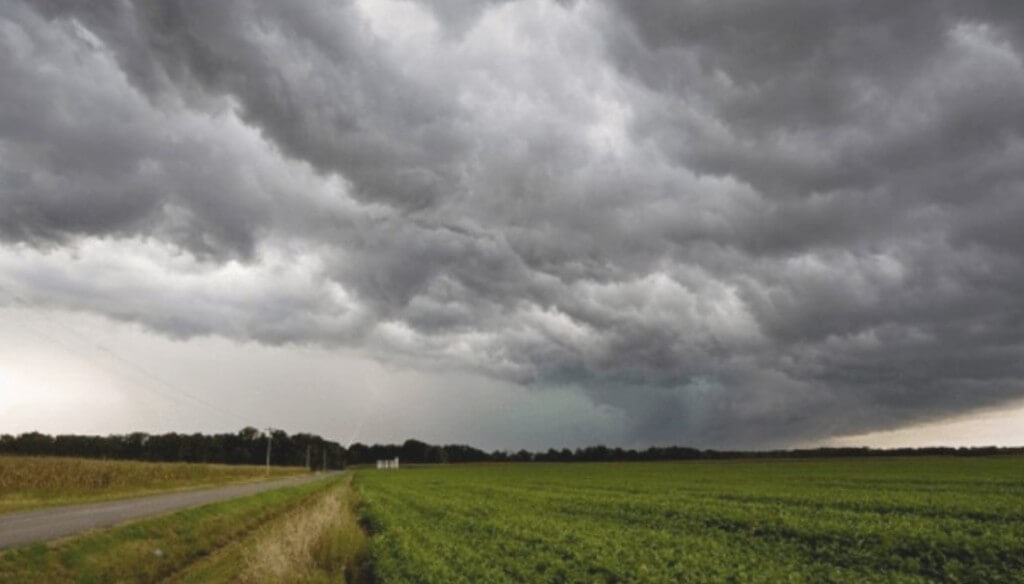 Las lluvias continuaron protagonizando la campaña agrícola