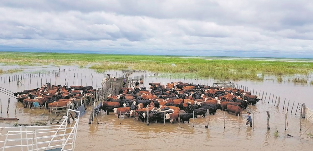 Replantear estrategias por la inclemencia del clima