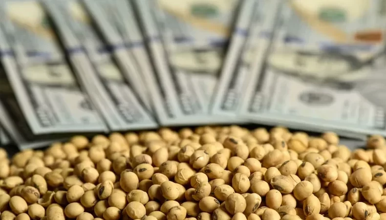 Agroexportadores liquidaron en setiembre