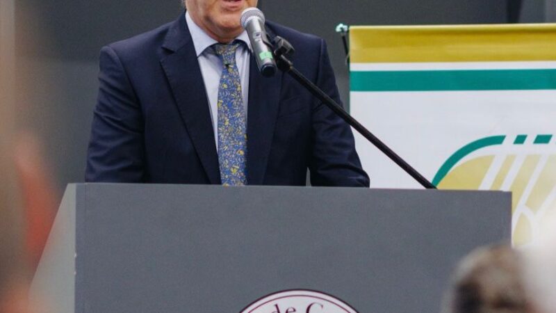 Campaña de trigo 25