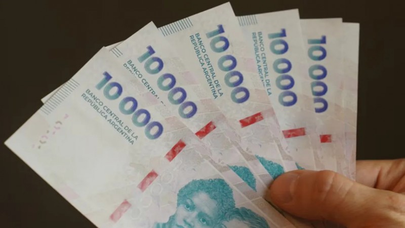 El crédito en pesos al sector privado frenó 17 meses de expansión