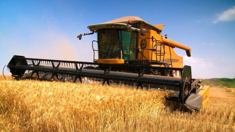 La actividad económica en setiembre