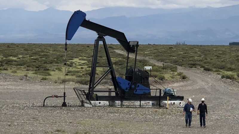 Pagbam asesoró en licitación de las áreas maduras ex YPF en Santa Cruz