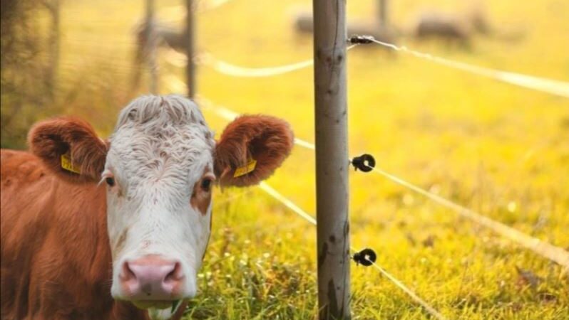 El Renatre y el INTA