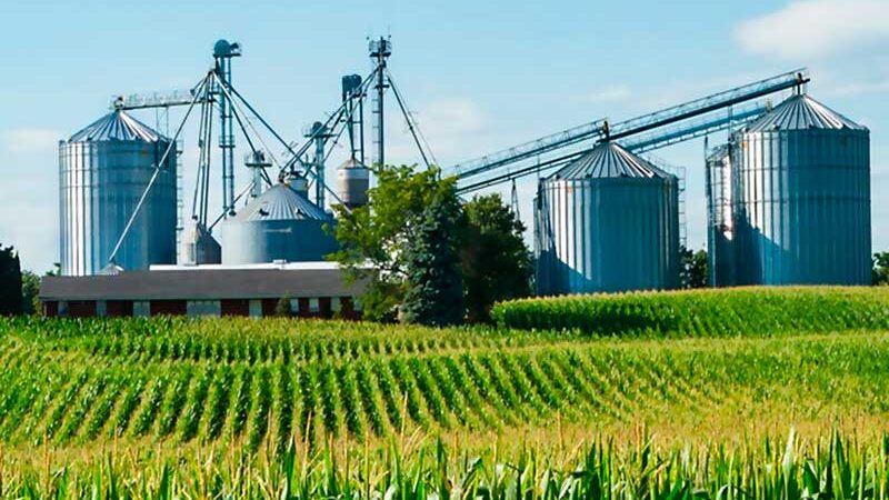 cadena agroindustrial