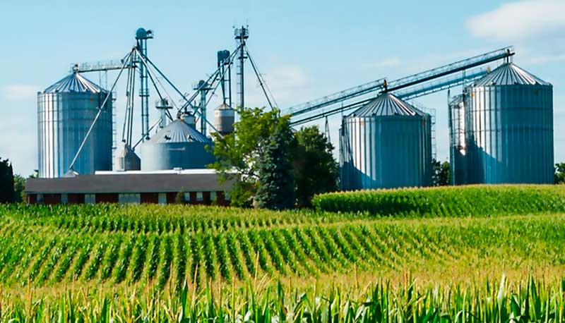Cadena agroindustrial rechaza salvaguardia agrícola de la UE