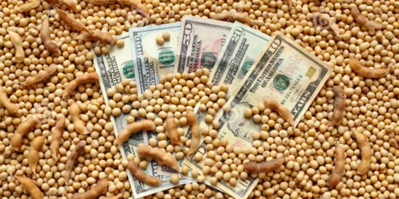 Agroexportadores liquidaron en noviembre