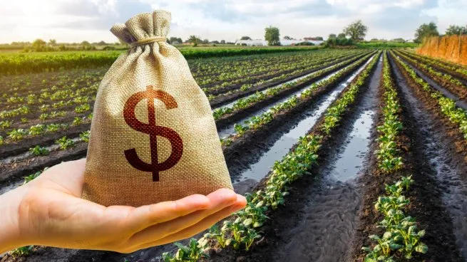 Dudas en la industria tras la baja de retenciones