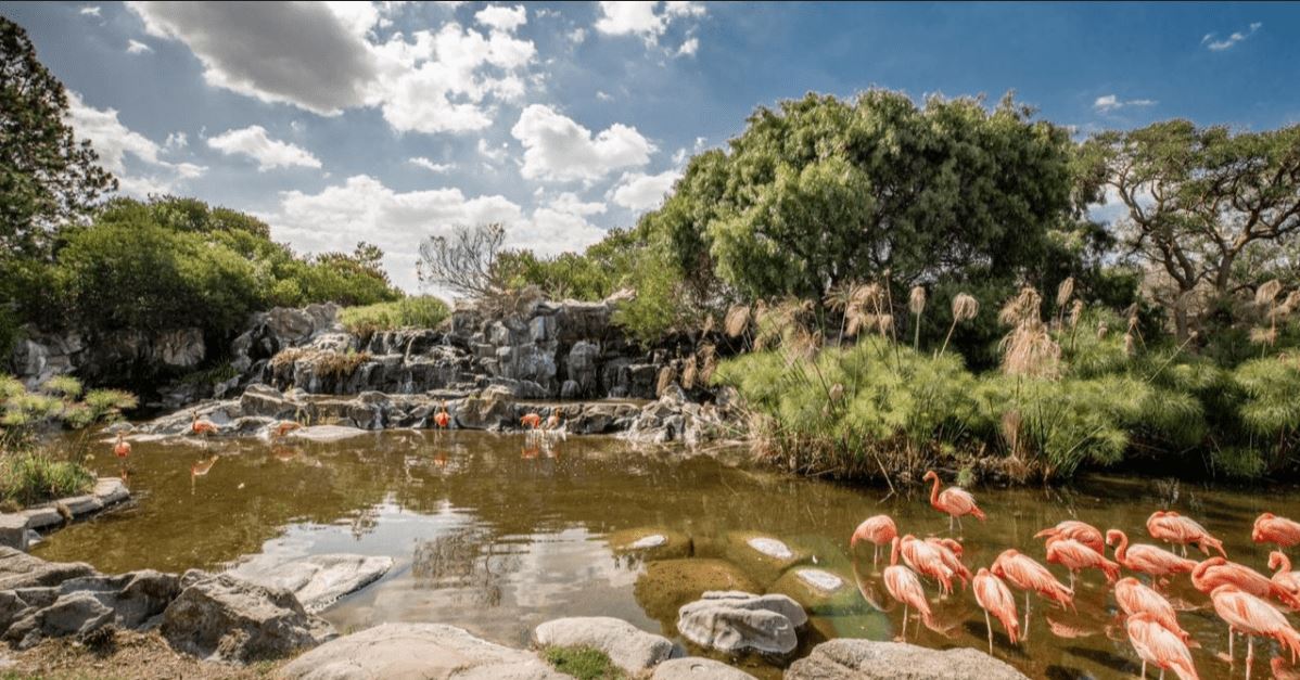 Fundación Temaikèn aumenta su consumo energético renovable