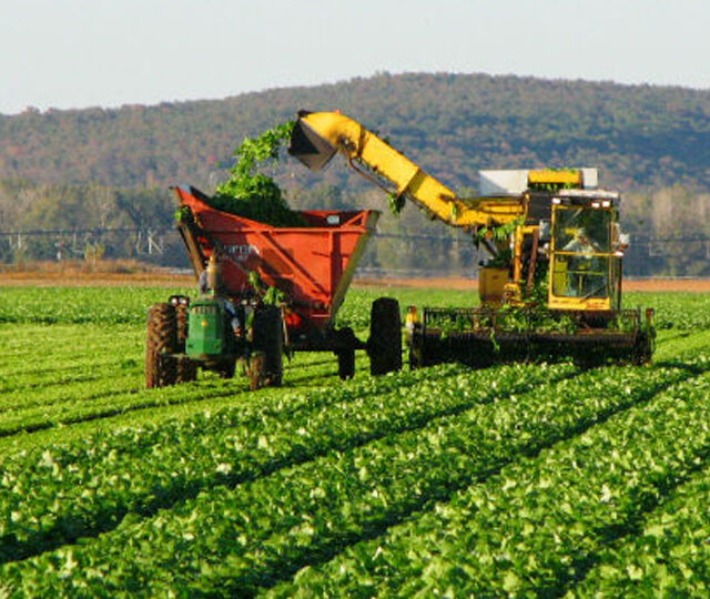RIMI: el Consejo Agroindustrial propone incluir más inversiones del agro