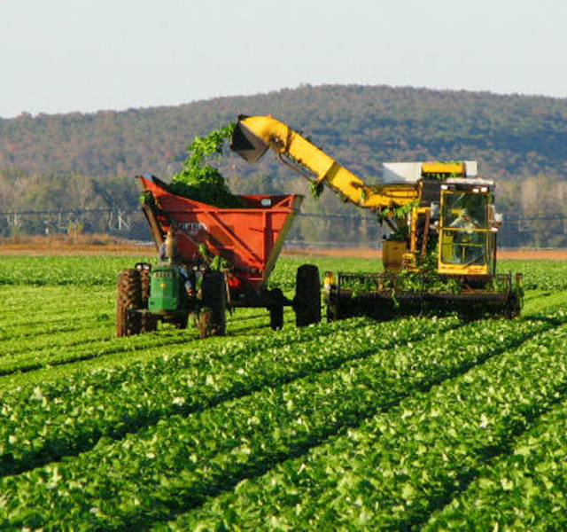 RIMI: el Consejo Agroindustrial propone incluir más inversiones del agro