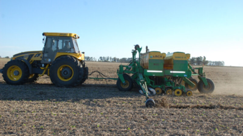 Recuperó el ritmo la siembra