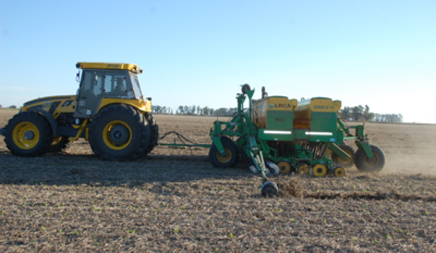 Recuperó el ritmo la siembra de cultivos de la gruesa