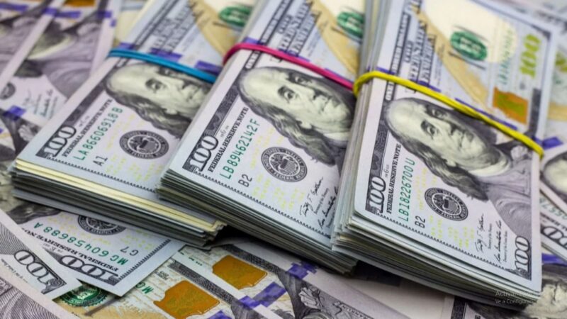 El BCRA sostuvo las compras