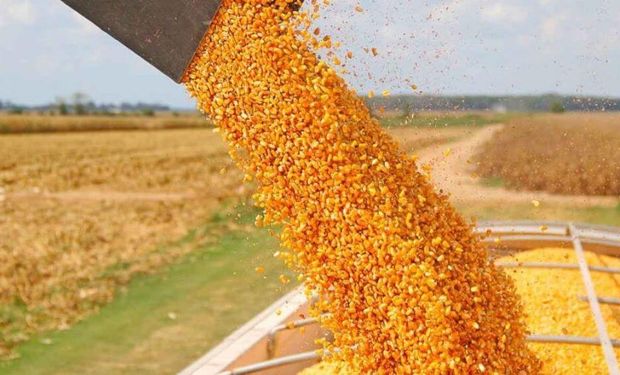 El USDA sorprendió con más maíz