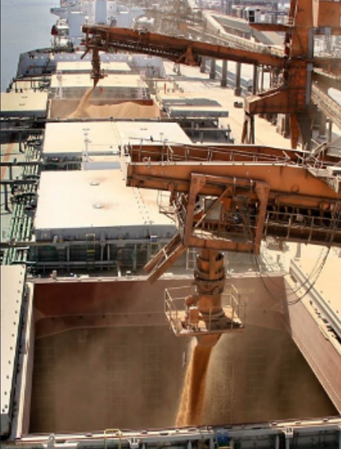 Las exportaciones agroindustriales en 2025 superaron los US$ 50.500 M