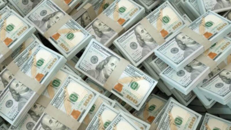 Más de US$ 1.100 millones acumuló el BCRA