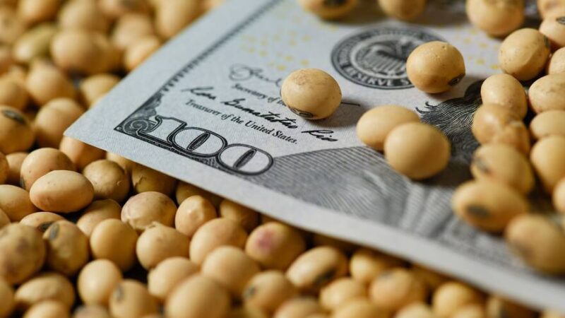 Agroexportadores en enero liquidaron US$ 1.850 millones