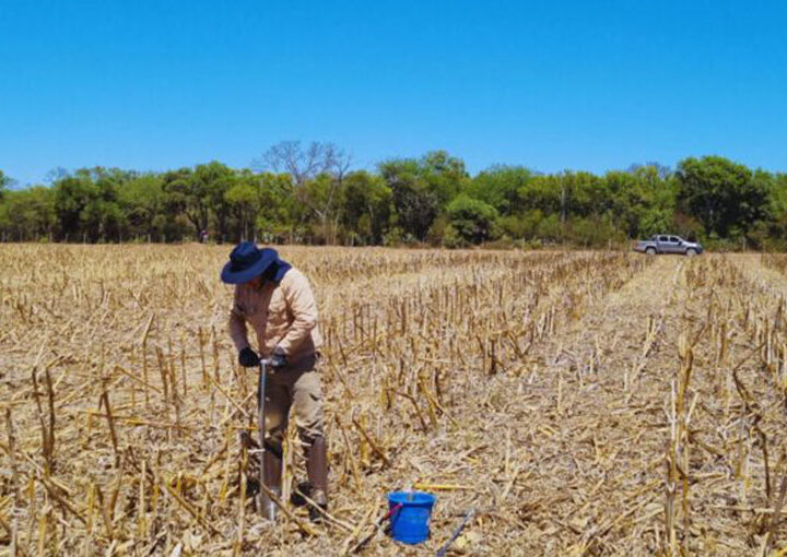 La mayor parte del área agrícola seguirá con condiciones hídricas insuficientes