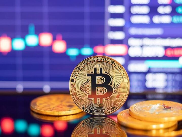 Zonda Bitcoin Capital